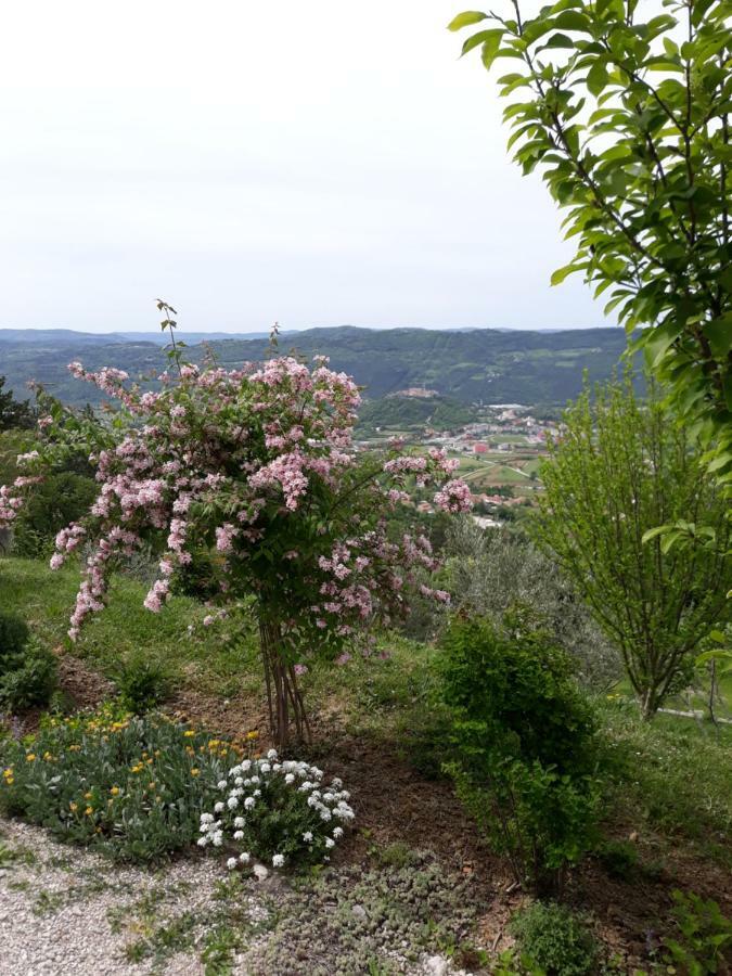 Apartment Finderli Buzet Esterno foto